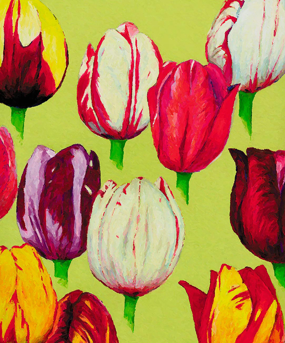 Cuadro tulipanes (bme012002)