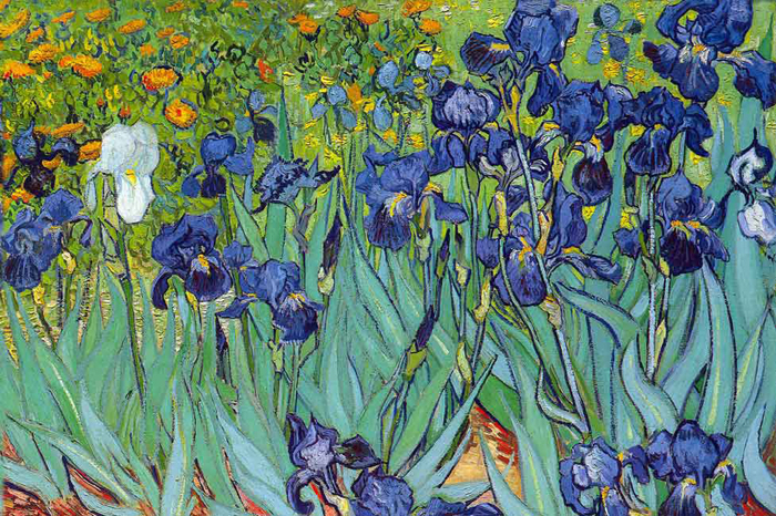Cuadro Van Gogh (bme050110)