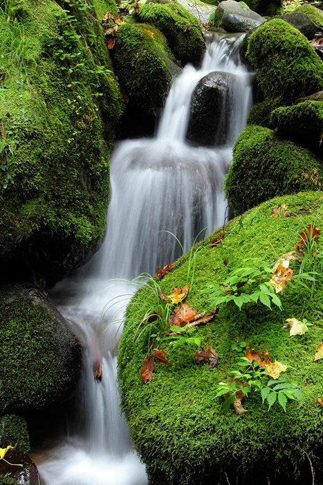 Cuadro cascada agua (bme160161)