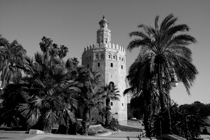 Cuadro Torre del oro Sevilla (bgca7139)