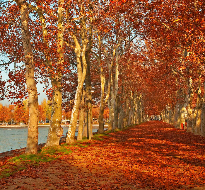 Cuadro paisaje (bfl53323552)