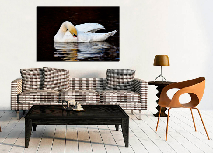 Cuadro cisne en el lago (bpx0202)
