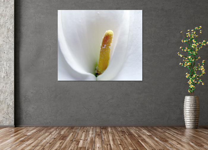 Cuadro flor blanca (bme011801)