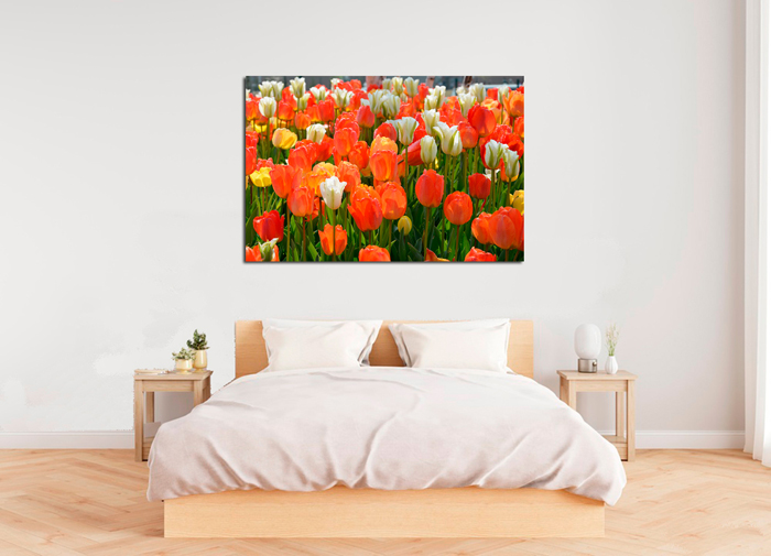 Cuadro tulipanes naranja (bpx0102)