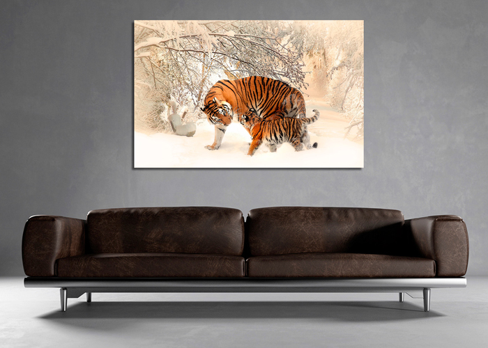 Cuadro tigres en la nieve (bpx0244)