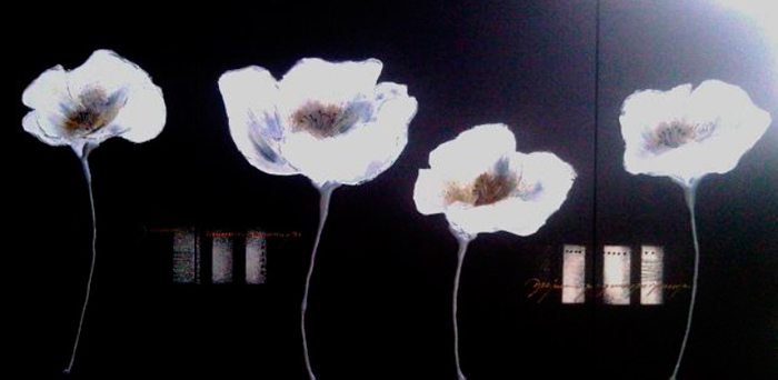 Cuadro flores (bdgf00747-13)