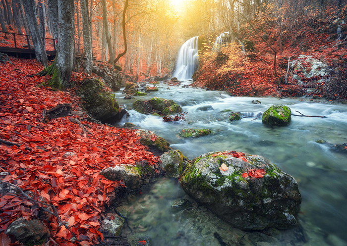 Cuadro paisaje bosque con rio (bfl107015812)