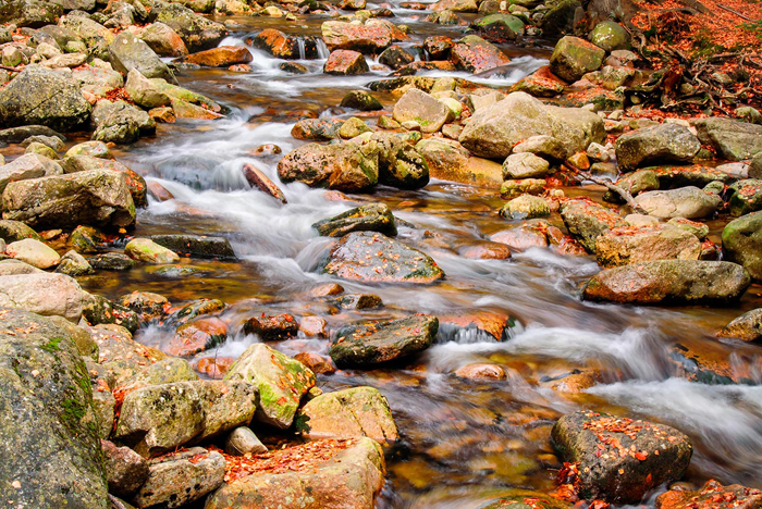 Cuadro paisaje riachuelo (bfl126033310)