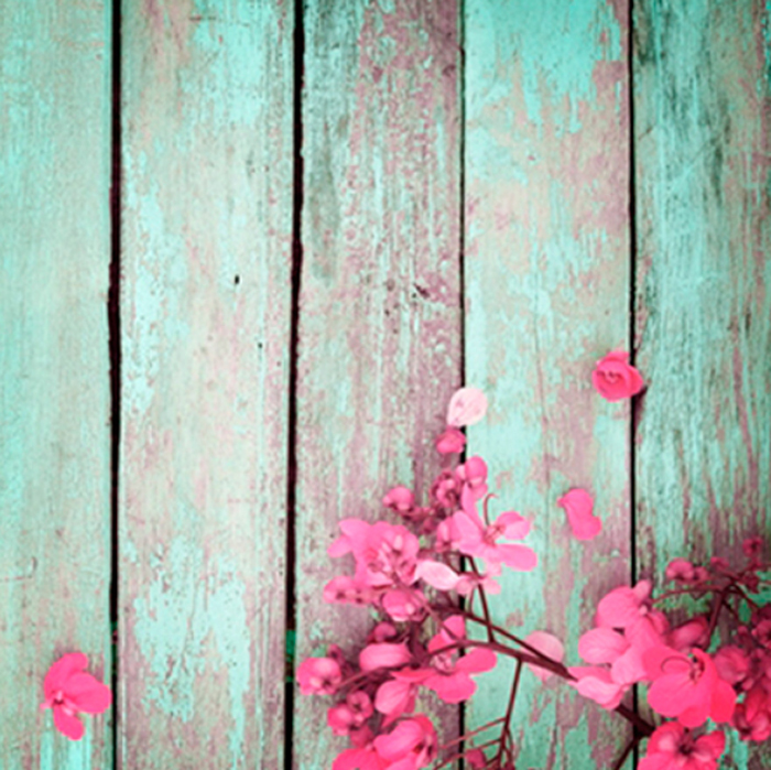 Cuadro flores rosa (bfl134072099)