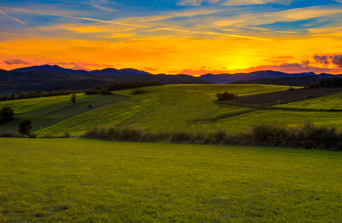 Cuadro paisaje campestre (bfl176683181)