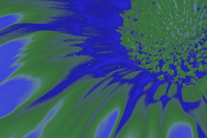 Cuadro flor azul digital (bgca0434)