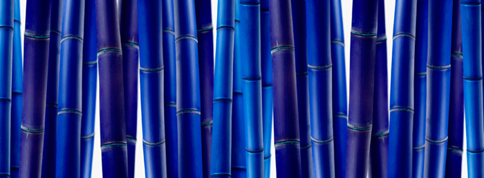 Cuadro cañas azules vanguardia (bgca0515)