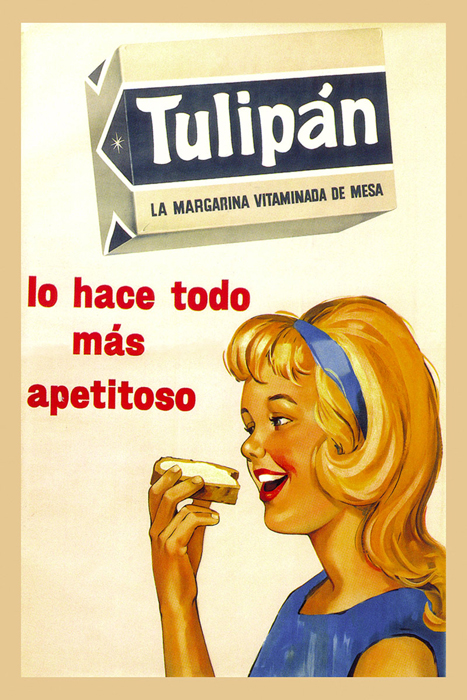 Cuadro publicidad tulipan (bme160072)