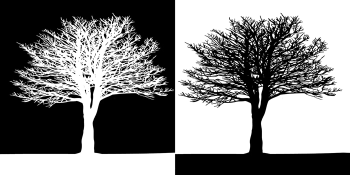 Cuadros arboles blanco y negro (bme170207)