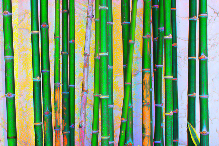 Cuadro bambu (bpx0140)