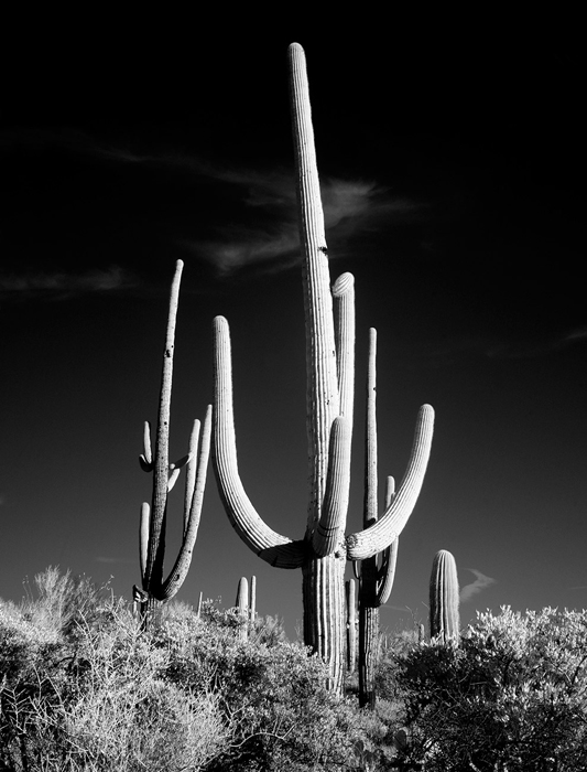 Cuadro paisaje captus (bpx0340)