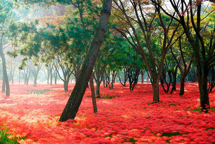 Cuadro paisaje (bpx0386)