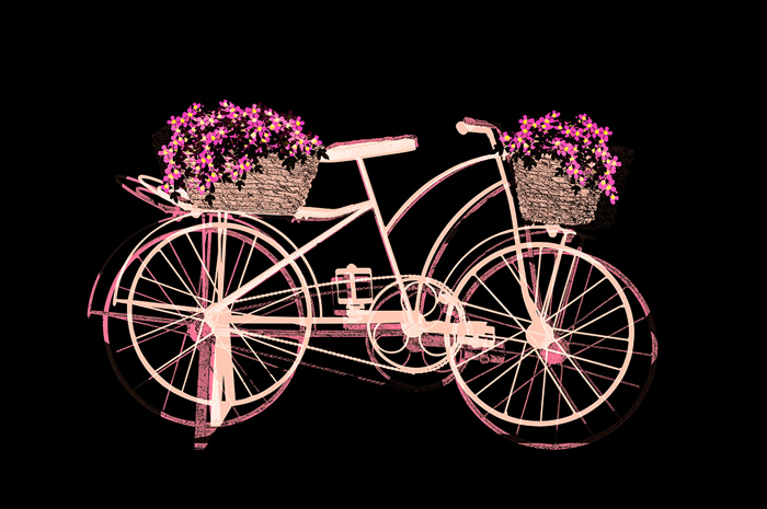 Cuadro bicicleta  negra y rosa (bpx0411)