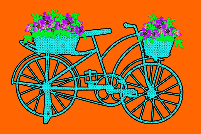 Cuadro bicicleta naranja y turquesa (bpx0412)