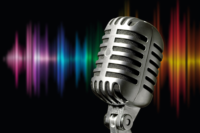 Cuadro microfono (bpx0420)