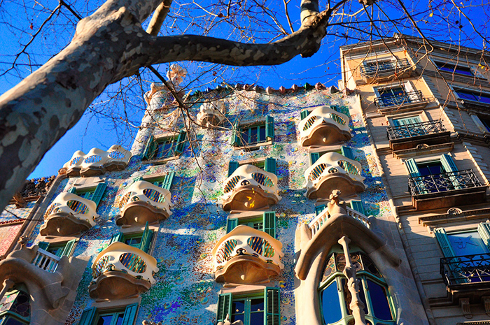 Cuadro de la casa Batlló Barcelona (bpx3019)